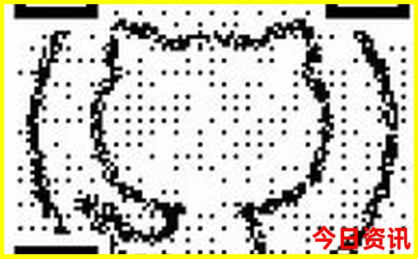 朱家尖免费景点推荐